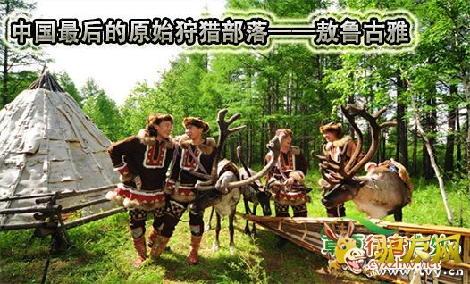 敖乡图片.jpg