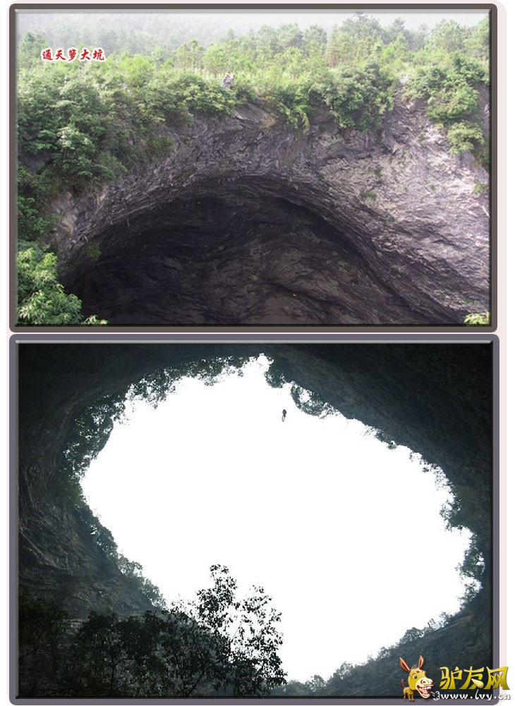 通天箩1.jpg